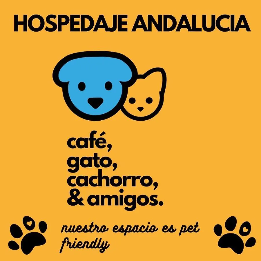 A Pousada Casa Andalucia Florianópolis Albergue